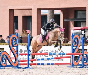 联赛专访｜吴璨彤：“我愿意永远相信我的战友，永远跟牠们并肩作战”|马术|搭档|教练|比赛|俱乐部联赛_新浪体育_新浪新闻